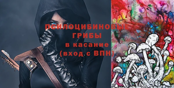 PSILOCYBIN Волосово