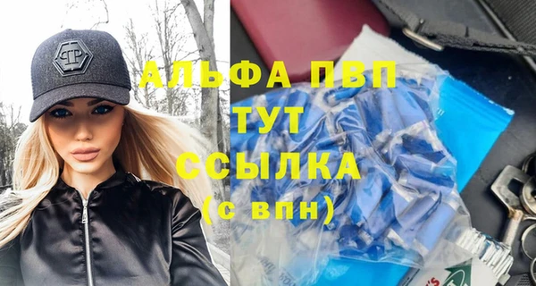 PSILOCYBIN Волосово